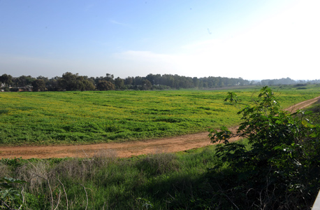 הקרקע החקלאית שעליה תיבנה השכונה החדשה, צילום: יובל חן