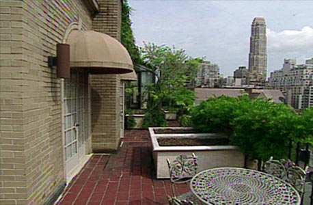 מרפסת גג מקיפה את כל הדירה וממנה נשקפת ניו יורק בכל הכיוונים