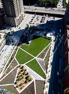 הגגות הירוקים של שיקגו לא רק נראים טוב מהשמים. הם משפרים את הבידוד בקומות העליונות של הבניינים שבראשם הם נשתלים וחוסכים בהוצאות על מיזוג האוויר, צילום: MCT