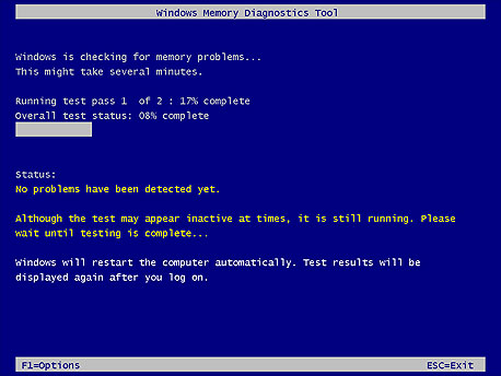 Windows Memory Diagnostic, לאיתור תקלות פיזיות בזיכרון הפנימי של המחשב