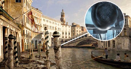 הפרוטוסלים והדמיה של היווצרות הגיר בוונציה. שיפוץ של הסביבה האקולוגית