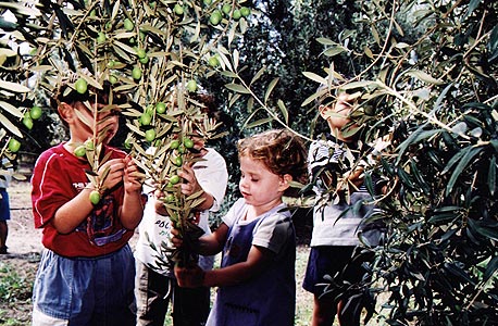 כד, בני דרום