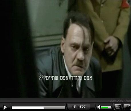 תמונה מהסרטון. "זילות של השואה"