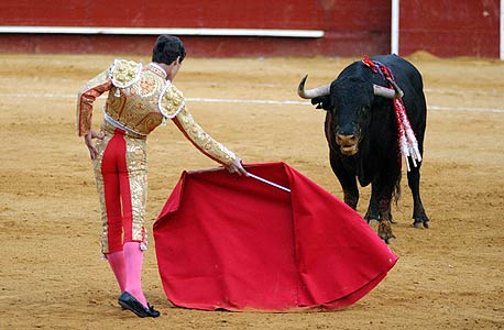 המשבר הפיננסי מאיים להכריע את השור הספרדי