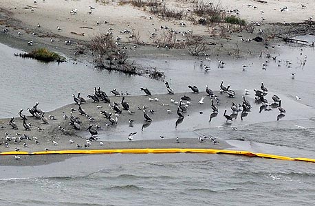 BP: נשלם על תיקון הנזקים מאסון הנפט במפרץ מכסיקו