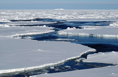 הקוטב הצפוני  קוטב קרח ים מוסף, צילום: SHUTTERSTOCK