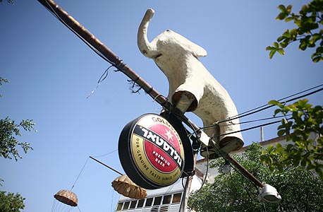 מסעדת הפיל בנאות אפקה