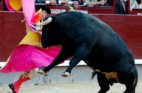 זירת Las Ventas במדריד. הזירה החשובה והמרשימה בספרד