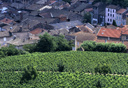 עמק הרון בצרפת, צילום: shutterstock