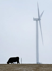 חוות רוח בדקוטה הצפונית, צילום: בלומברג
