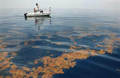 דליפת הנפט במפרץ מקסיקו, צילום: MCT