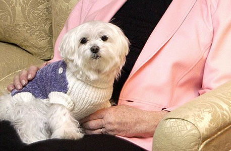 הכלב של ליאונה הלמסלי. נישלה את נכדיה, אך הורישה לכלבה 12 מיליון דולר