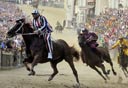 מירוץ סוסים. חברת ההימורים יוצאת לבורסה, צילום: אי פי אי 