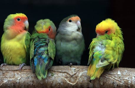 תומכים בגן הזואולוגי בבאר שבע. מחכים לכם בימי שלישי