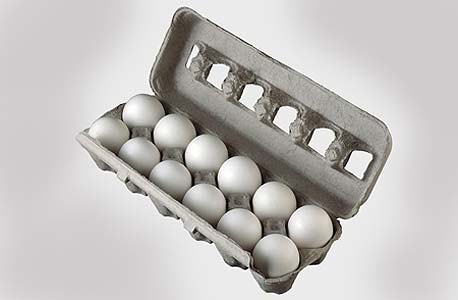 ביצים, צילום: סי די בנק