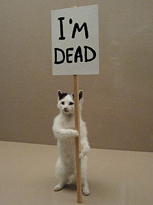 עבודה של דיוויד שריגלי