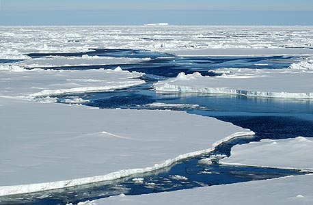 אם ניקלע לעוד עידן קרח או לעידן שבו הטמפרטורות יעלו באופן קיצוני - האם האבולוציה והטכנולוגיה יספיקו לנו כדי לשרוד? נראה שלא