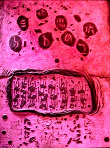 עבודה משנות החמישים של משה קסטל שנמצאה בעיזבון