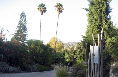 הגן הבוטני במכללת אורנים. טיבוע ציפורים הגן הבוטני במכללת אורנים. טיבוע ציפורים