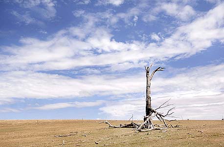 הבצורת באוסטרליה צפויה להחמיר