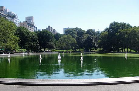 סנטרל פארק, ניו יורק, צילום: עומר הכהן