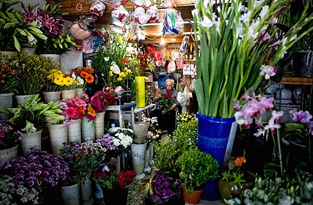 חנות פרחים. מתח רווחים של 200% על כל פרח, צילום: דניאל דה אלבי