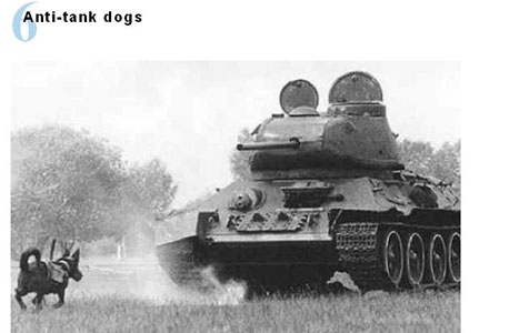 כלבים נגד טנקים