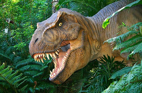 עסקת טאמבליאהו: מאריסה מאייר עדיין רוכבת על דינוזאור