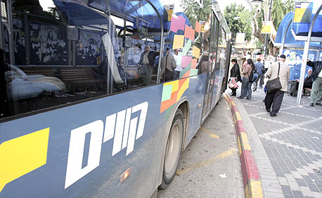 אוטובוס של קווים,                                                               צילום: שאול גולן