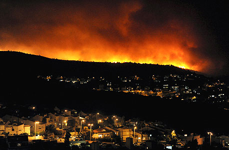 השריפה ביערות הכרמל, צילום: אפי שריר
