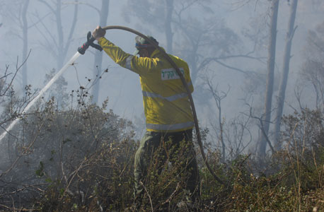 השריפה ביערות הכרמל ב-2010, צילום: מורן מעיין