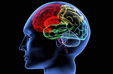 הדמיה של המוח האנושי. עושים שימוש בכל האזורים