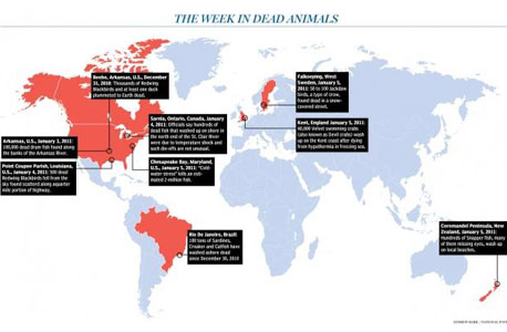 כך תדעו היכן מתו השבוע חיות באופן מסתורי כך תדעו היכן מתו השבוע חיות באופן מסתורי