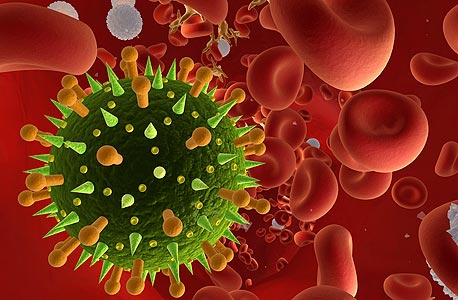 מה בין וירוס ביולוגי לווירוס מחשבים?, צילום: shutterstock