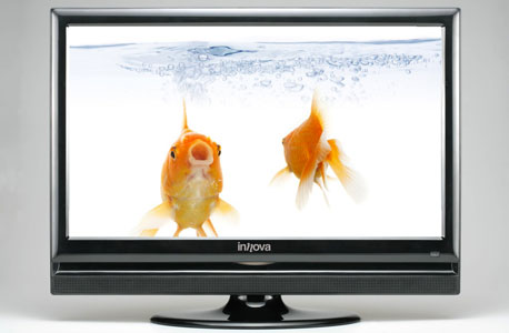 T51A-U LCD HD Ready של אינובה. מחיר: 1,099 שקל