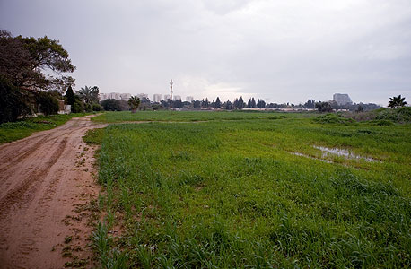 הקרקע בין נווה מונוסון לגני יהודה, צילום: תומי הרפז