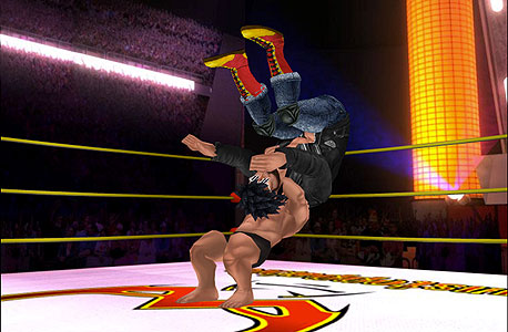 Wrestler: Unstoppable. פונים לנישות ספציפיות Wrestler: Unstoppable. פונים לנישות ספציפיות