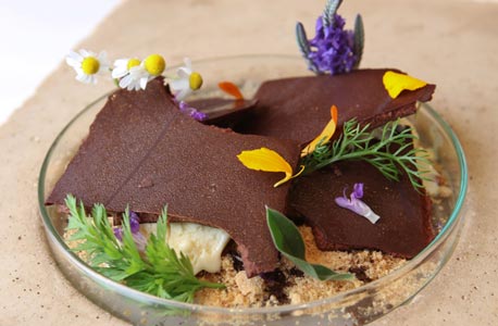 קינוח שוקולד עם פרחים, צילום: ענר גרין