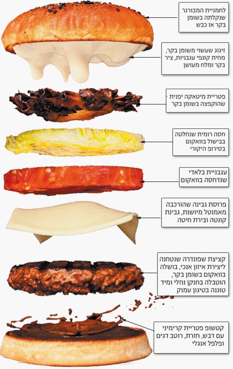  ממה מורכב הצ'יזבורגר המושלם לפי "מטבח מודרניסטי"