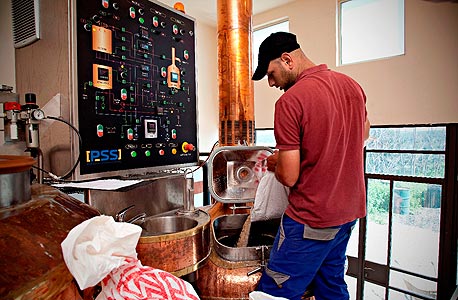 מבשלת הבירה פאבו, צילום: ירון ויינברג