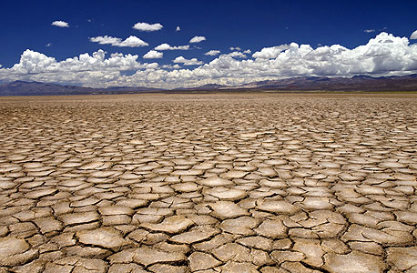 Desert (illustration). Photo: Shutterstock