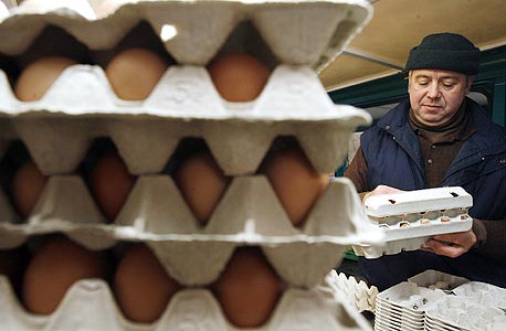 ביצים - יתייקרו עוד החודש בעד 8%, צילום: בלומברג