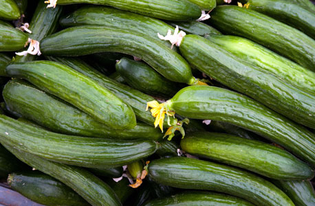 מחיר המלפפונים צנח מחיר המלפפונים צנח