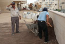 פועלי בנייה פלסטינים (ארכיון), צילום: אוראל כהן