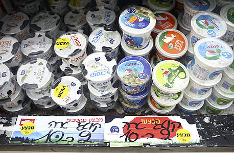 למרות התנגדות הרפתנים: הממשלה תאשר ביום א&#39; את הרפורמה בשוק החלב
