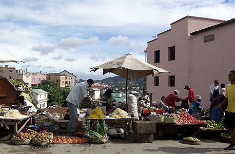 מדגסקר. מחיר האורז הכפיל את עצמו