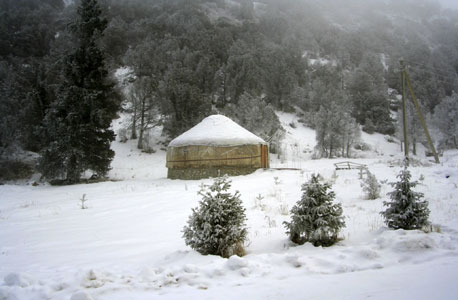 קירגיסטן. השחיתות חוגגת