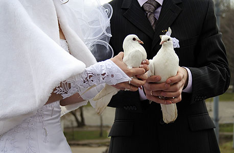 "לעבוד במקום אחד יותר משנתיים? מה זה, חתונה קתולית?", צילום: shutterstock