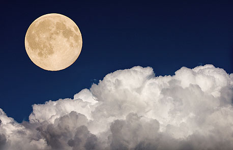 NASA announced that the Moon was wetter than science had previously predicted. Photo: Shutterstock