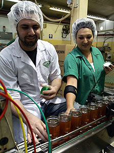 מפעל הדבש של יד מרדכי, צילום: גדי קבלו